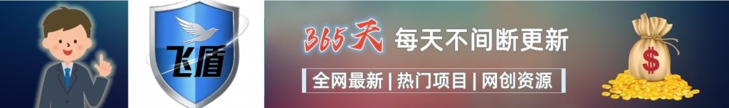 加盟飞盾网创，加盟搭建同款知识付费资源网站，实现长期稳定被动收入~-飞盾网创